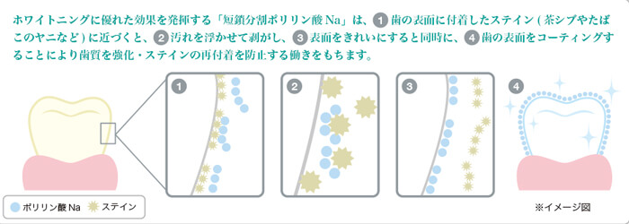 ポリリン酸の仕組み